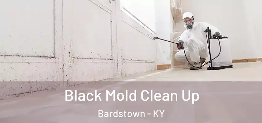  Black Mold Clean Up Bardstown - KY