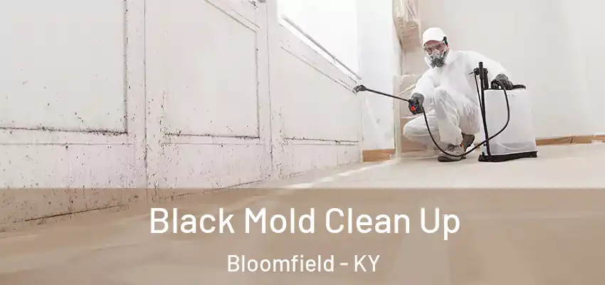 Black Mold Clean Up Bloomfield - KY