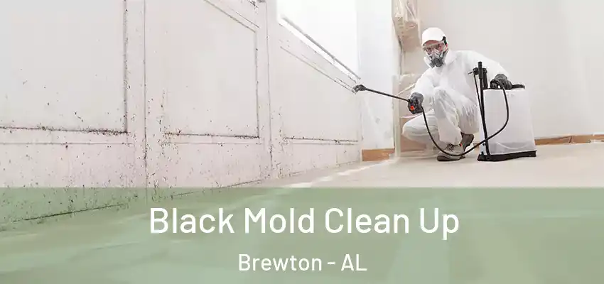 Black Mold Clean Up Brewton - AL