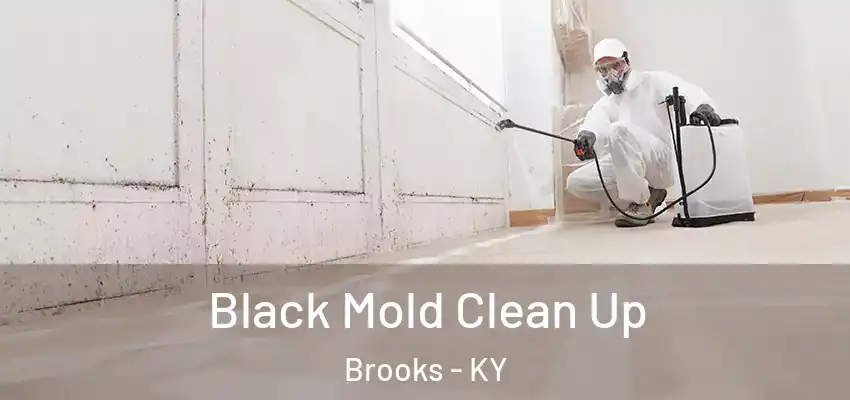 Black Mold Clean Up Brooks - KY