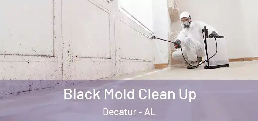 Black Mold Clean Up Decatur - AL