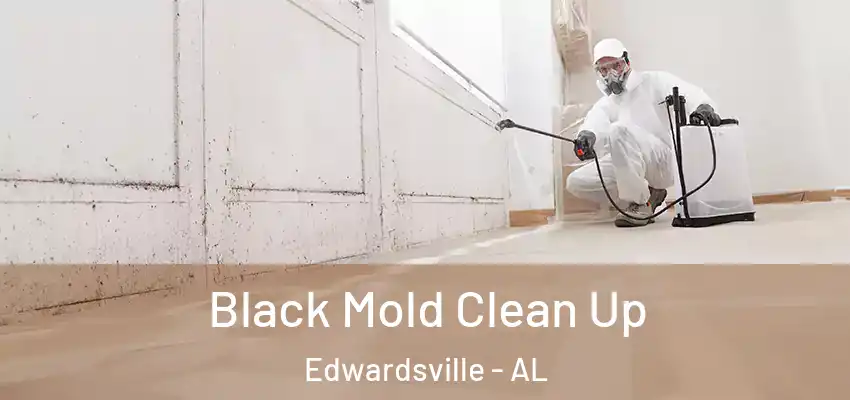 Black Mold Clean Up Edwardsville - AL