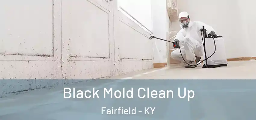 Black Mold Clean Up Fairfield - KY