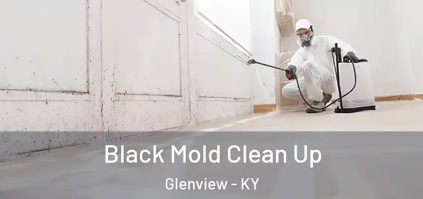  Black Mold Clean Up Glenview - KY