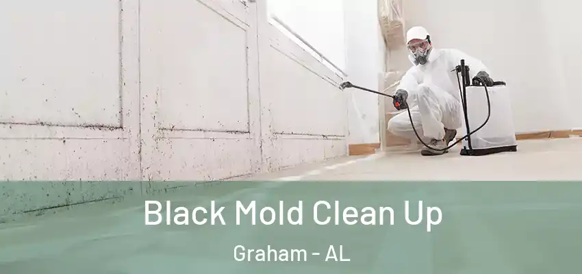 Black Mold Clean Up Graham - AL