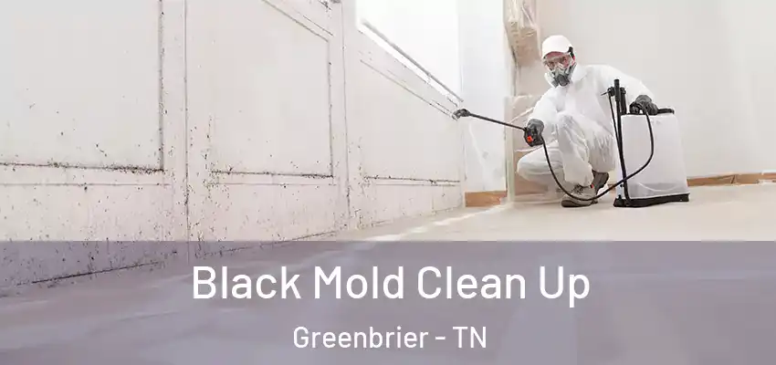 Black Mold Clean Up Greenbrier - TN