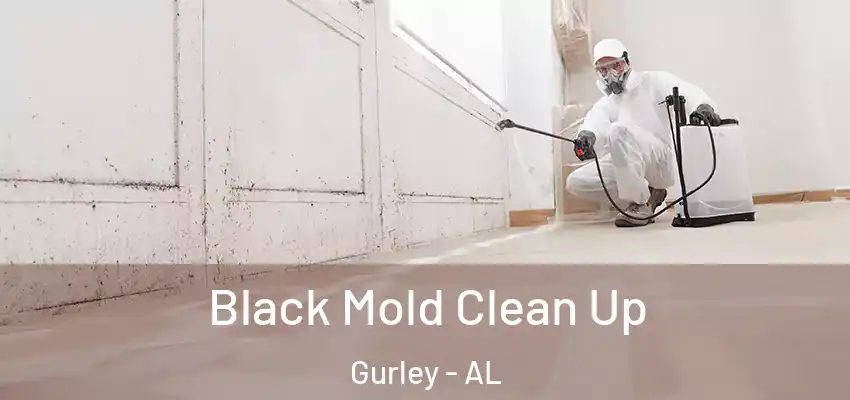  Black Mold Clean Up Gurley - AL