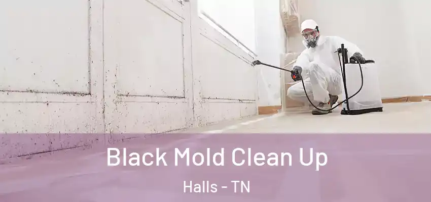Black Mold Clean Up Halls - TN
