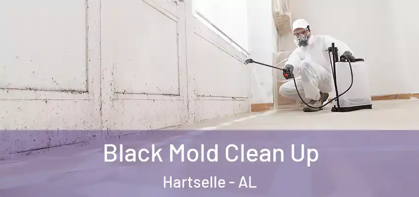  Black Mold Clean Up Hartselle - AL