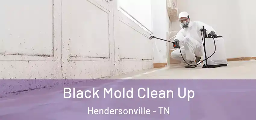  Black Mold Clean Up Hendersonville - TN