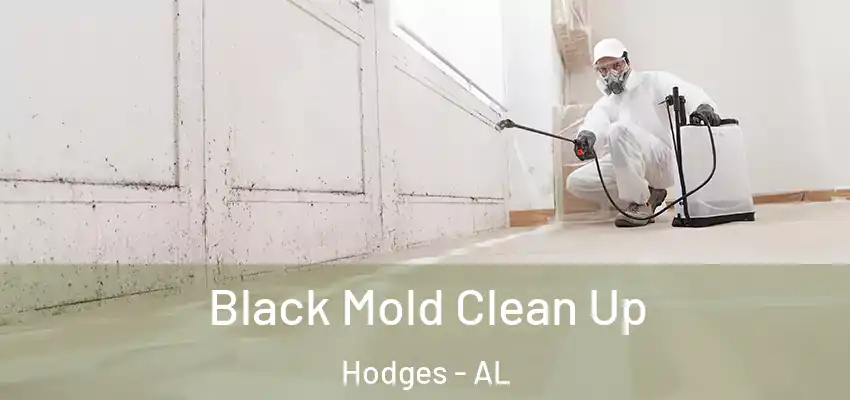 Black Mold Clean Up Hodges - AL