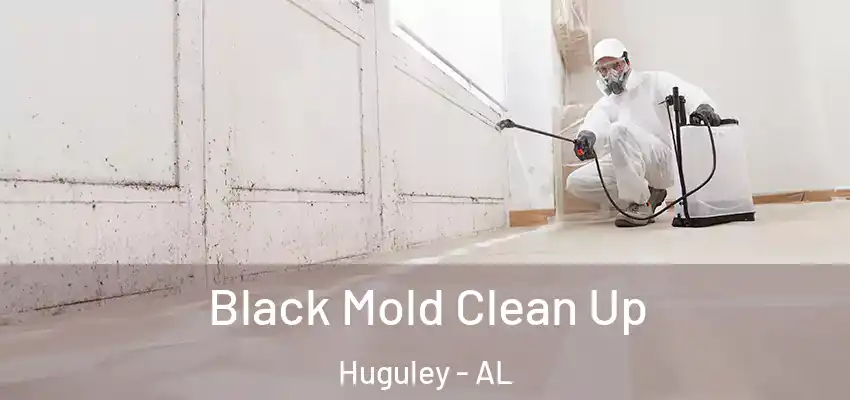 Black Mold Clean Up Huguley - AL