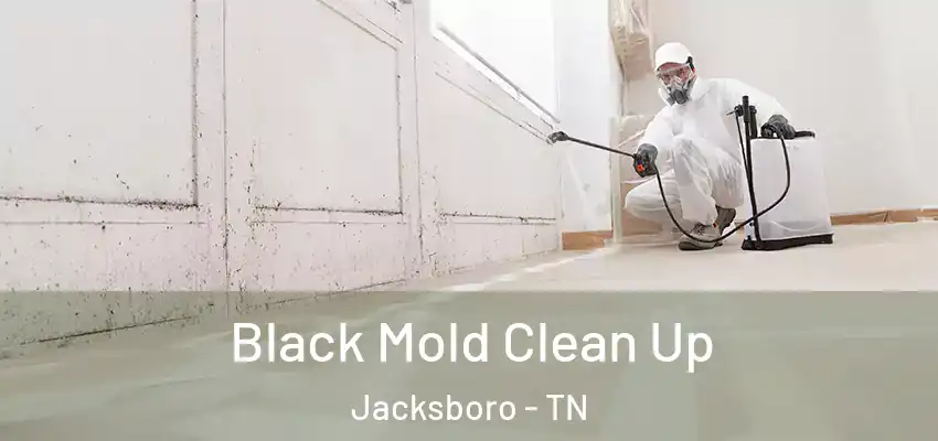 Black Mold Clean Up Jacksboro - TN