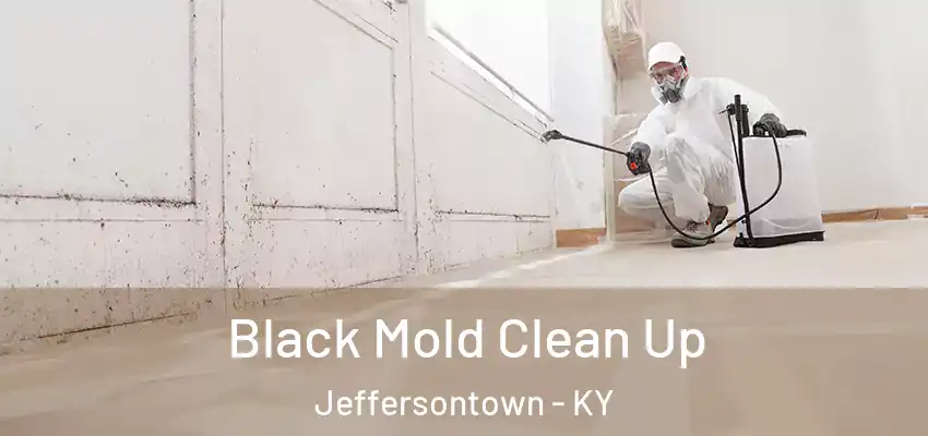 Black Mold Clean Up Jeffersontown - KY