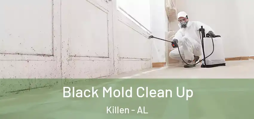 Black Mold Clean Up Killen - AL