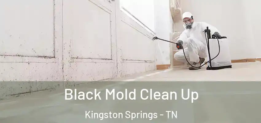 Black Mold Clean Up Kingston Springs - TN