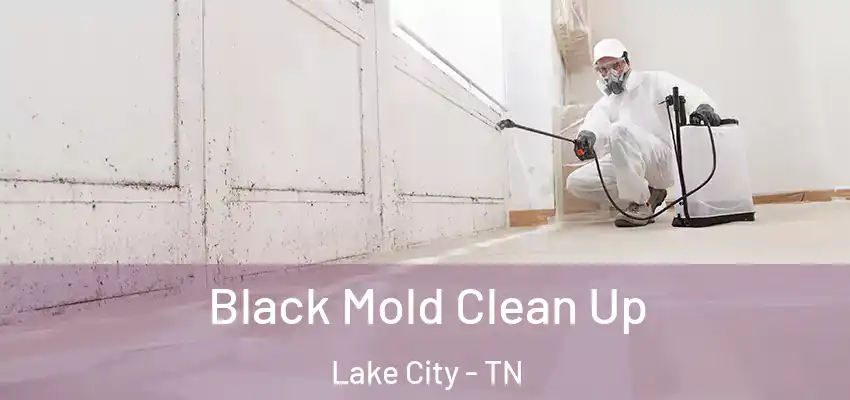 Black Mold Clean Up Lake City - TN