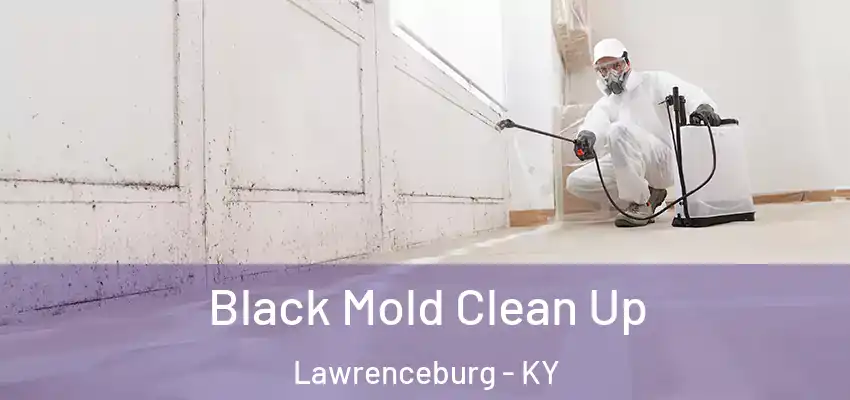  Black Mold Clean Up Lawrenceburg - KY