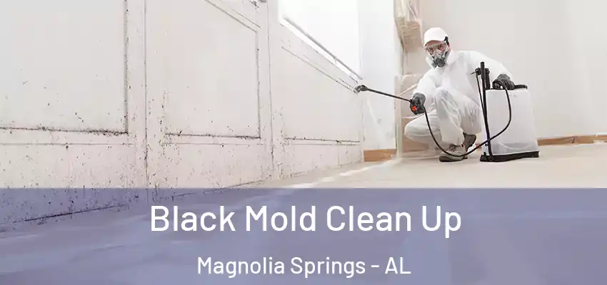 Black Mold Clean Up Magnolia Springs - AL