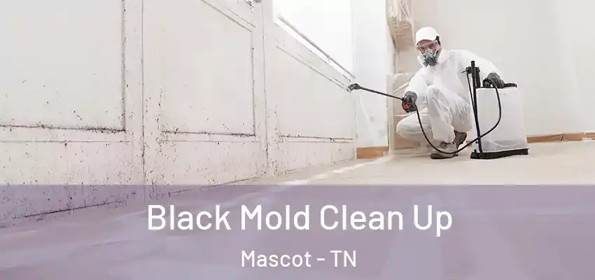  Black Mold Clean Up Mascot - TN