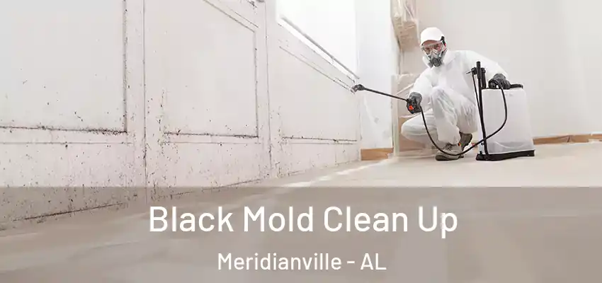  Black Mold Clean Up Meridianville - AL