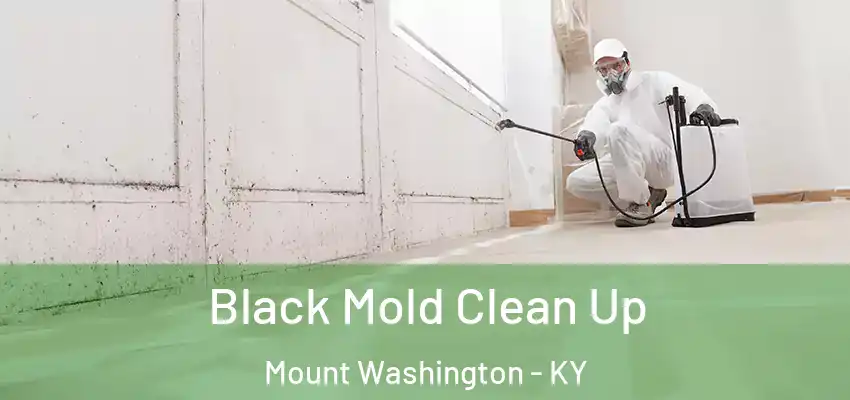  Black Mold Clean Up Mount Washington - KY