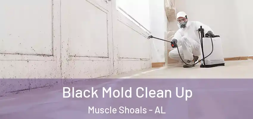 Black Mold Clean Up Muscle Shoals - AL