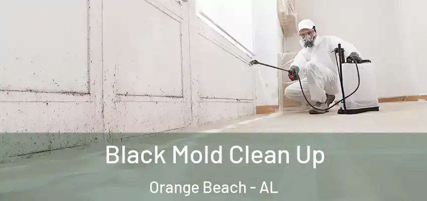  Black Mold Clean Up Orange Beach - AL