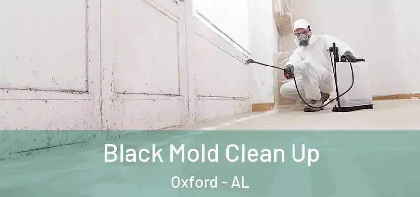 Black Mold Clean Up Oxford - AL