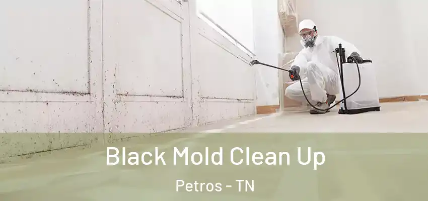 Black Mold Clean Up Petros - TN