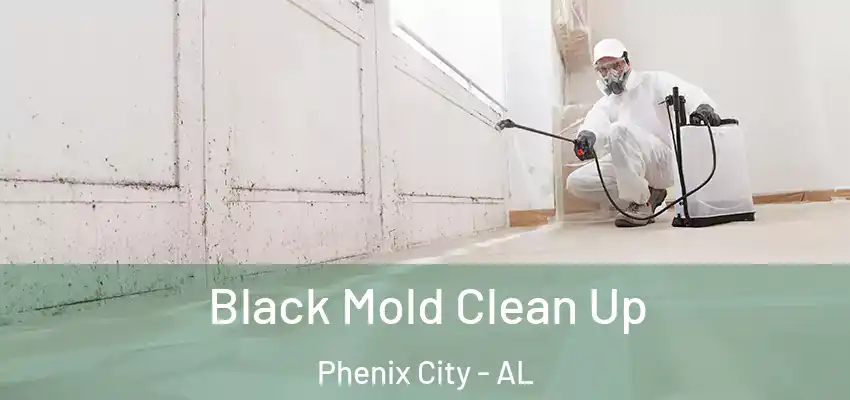  Black Mold Clean Up Phenix City - AL