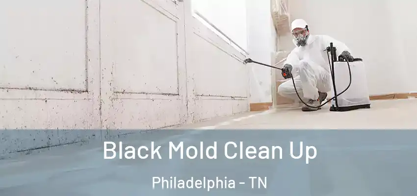 Black Mold Clean Up Philadelphia - TN