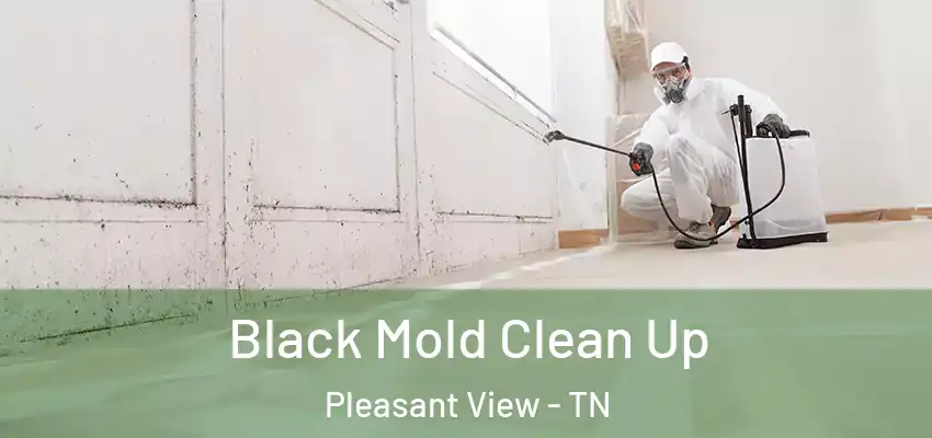 Black Mold Clean Up Pleasant View - TN