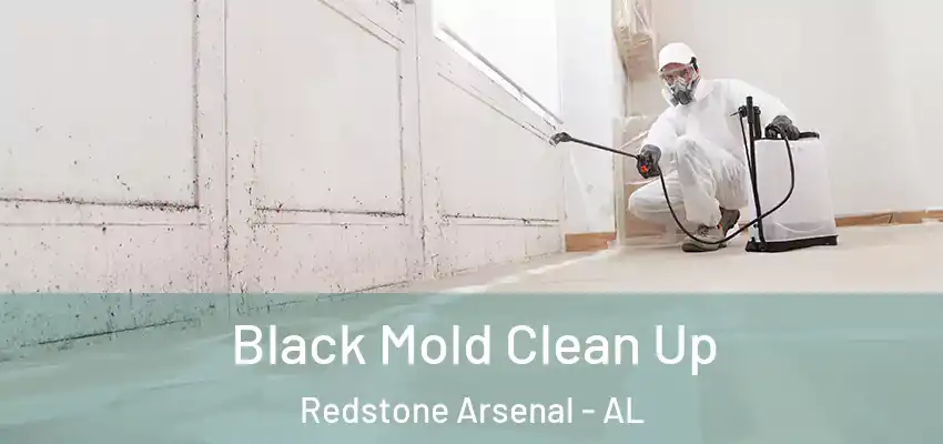 Black Mold Clean Up Redstone Arsenal - AL