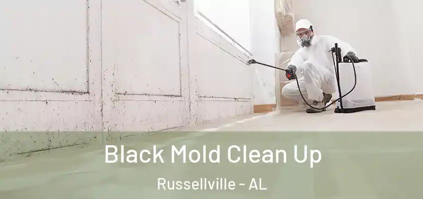 Black Mold Clean Up Russellville - AL