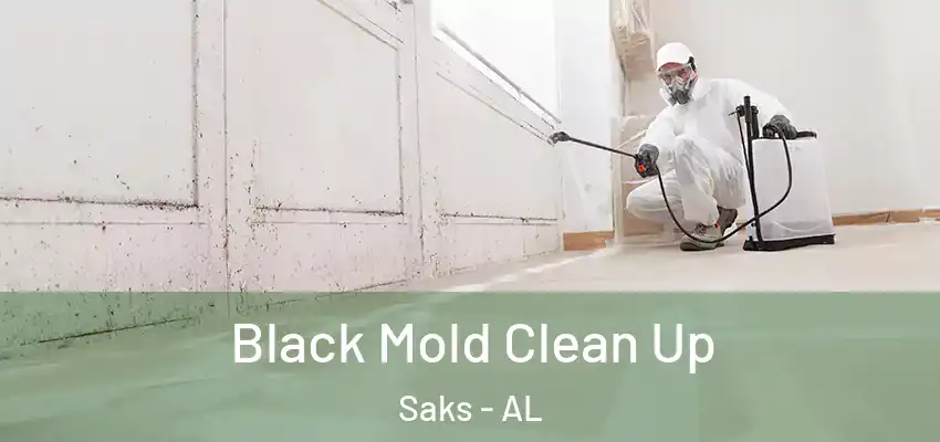  Black Mold Clean Up Saks - AL