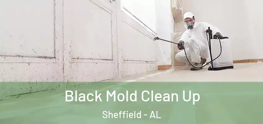  Black Mold Clean Up Sheffield - AL