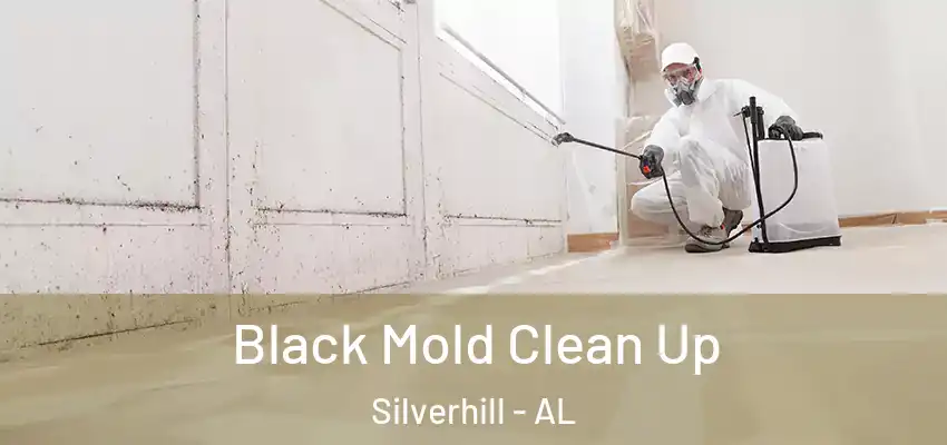 Black Mold Clean Up Silverhill - AL