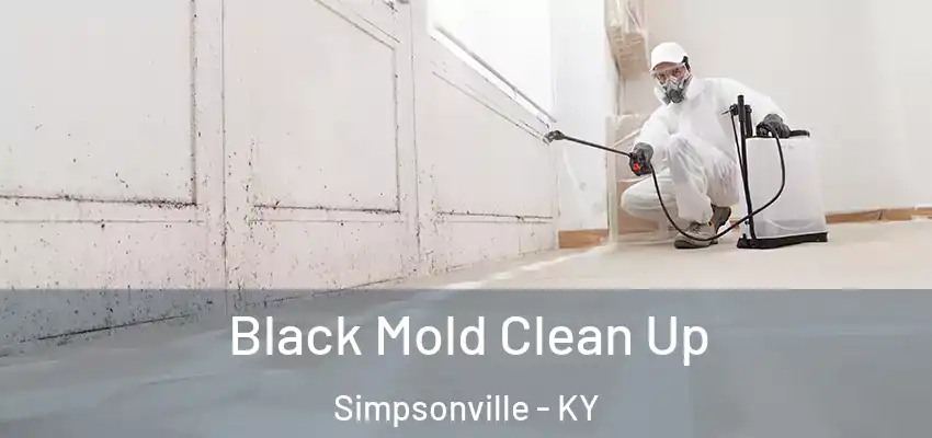 Black Mold Clean Up Simpsonville - KY