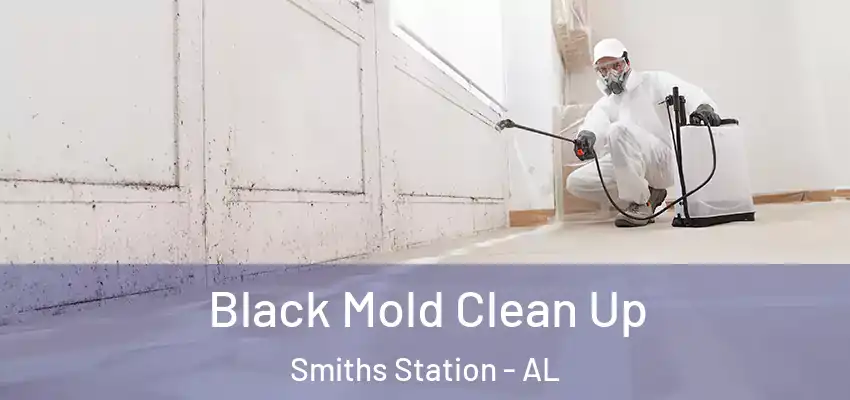  Black Mold Clean Up Smiths Station - AL