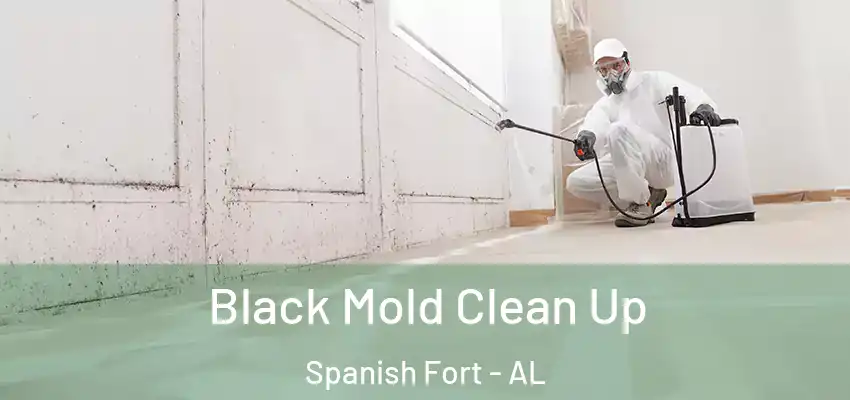  Black Mold Clean Up Spanish Fort - AL