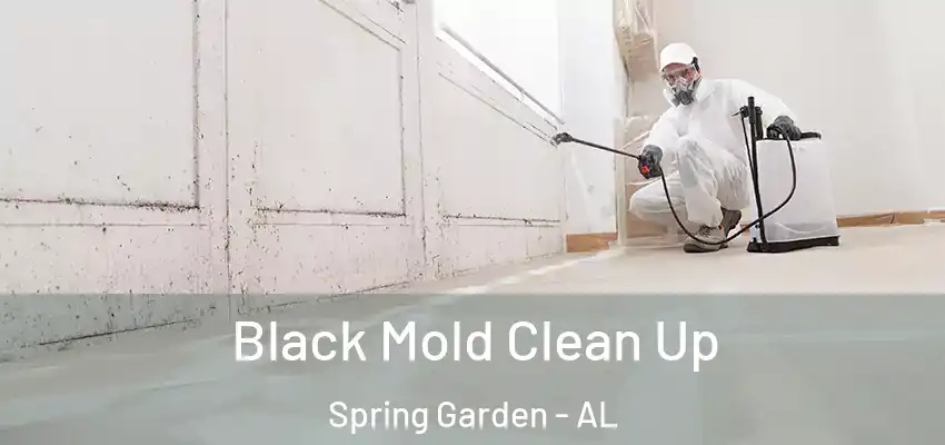  Black Mold Clean Up Spring Garden - AL