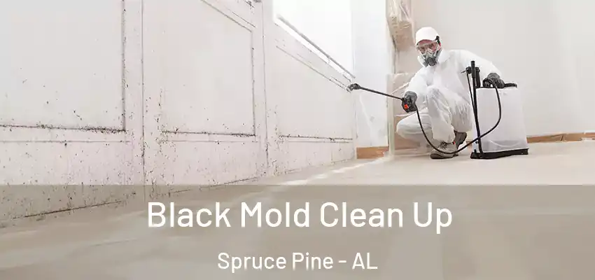 Black Mold Clean Up Spruce Pine - AL