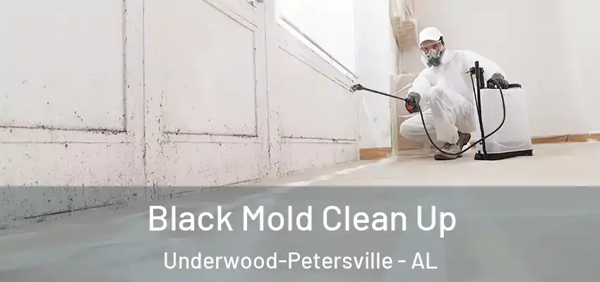 Black Mold Clean Up Underwood-Petersville - AL