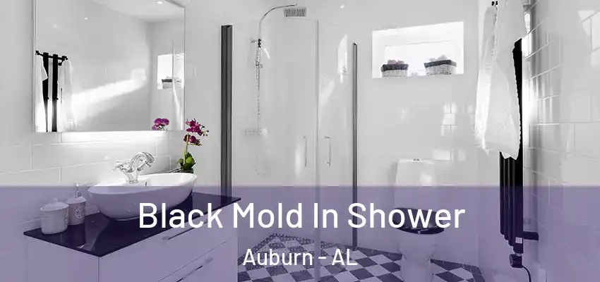  Black Mold In Shower Auburn - AL