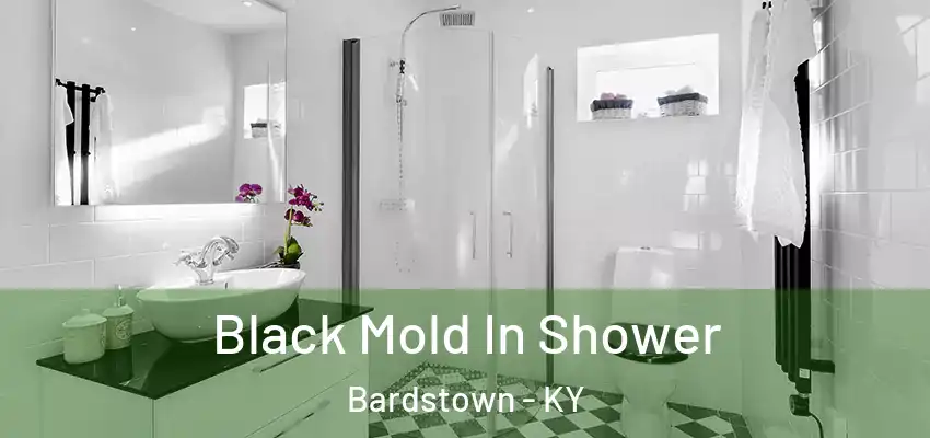  Black Mold In Shower Bardstown - KY