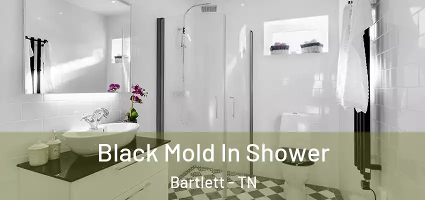 Black Mold In Shower Bartlett - TN