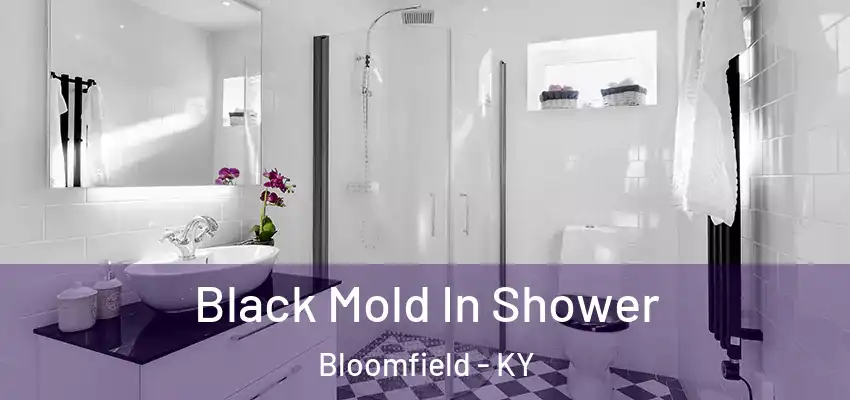  Black Mold In Shower Bloomfield - KY
