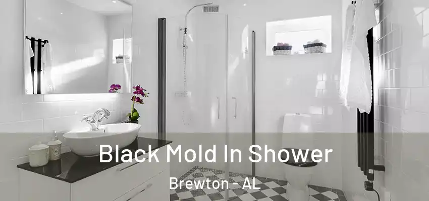  Black Mold In Shower Brewton - AL