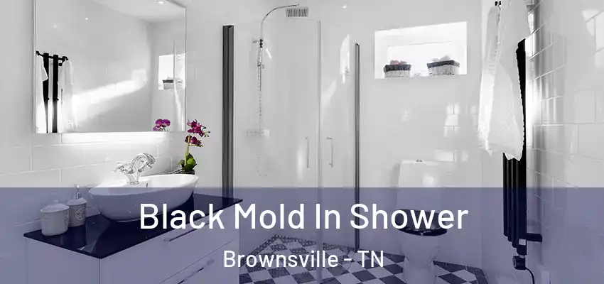 Black Mold In Shower Brownsville - TN